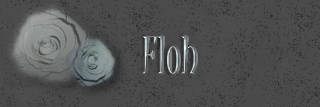Floh