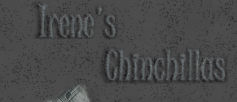 In Memory of Irene's Chinchillas