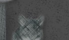 In Memory of Irene's Chinchillas