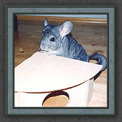 Urmeli and Pebble 001