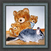 Urmeli and Pebble 003