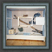 Urmeli and Pebble 013