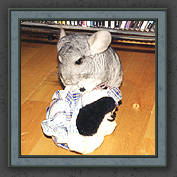 Urmeli and Pebble 024